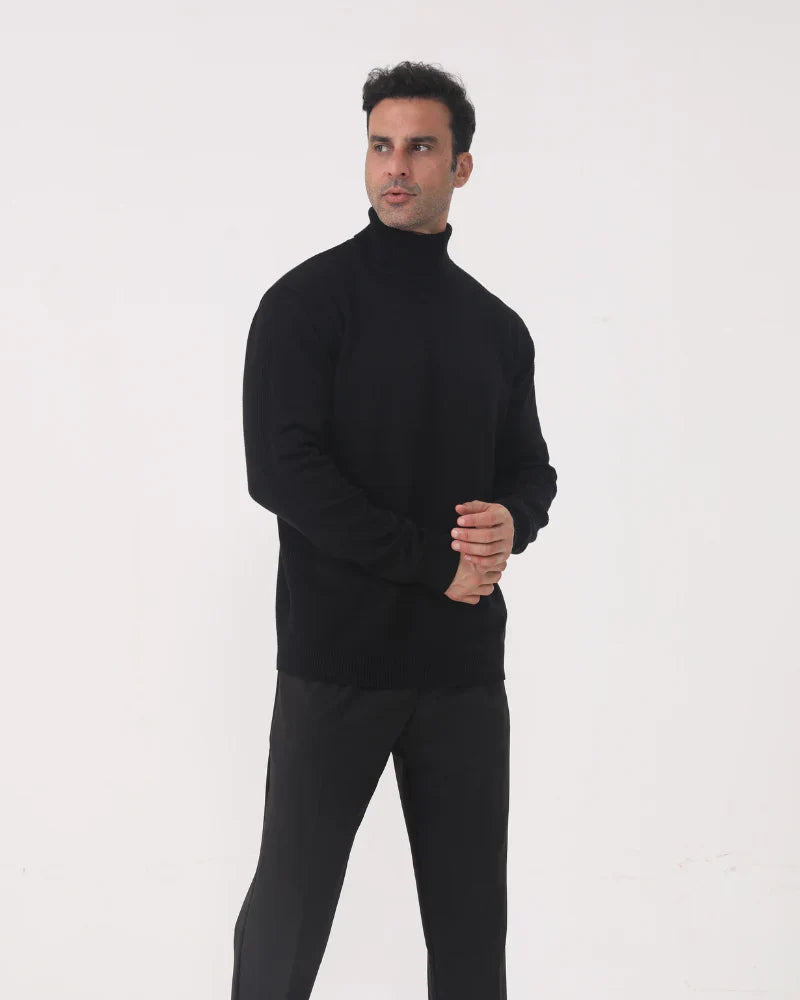 Lugano Merino Turtleneck
